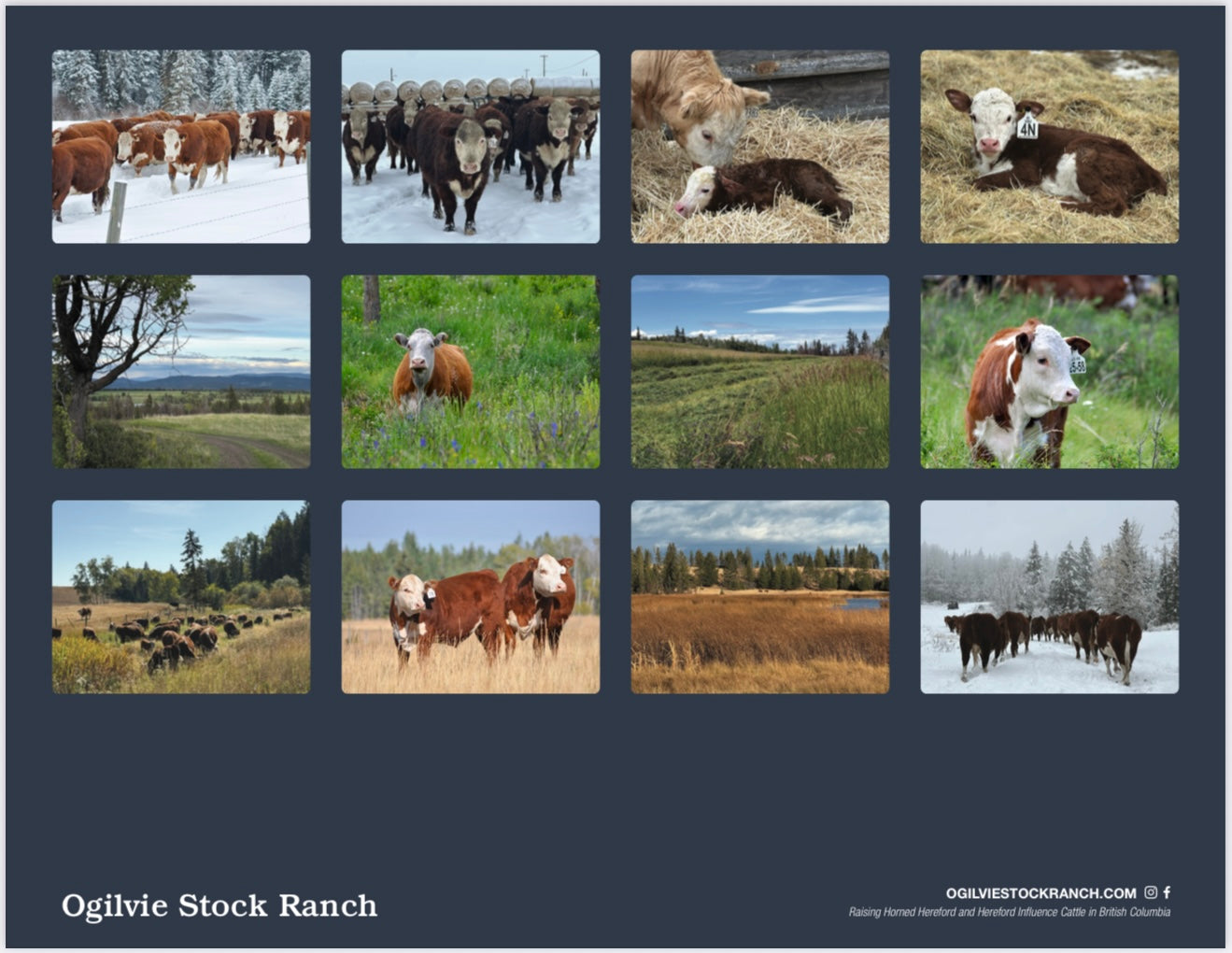 2026 Ranch Wall Calendar