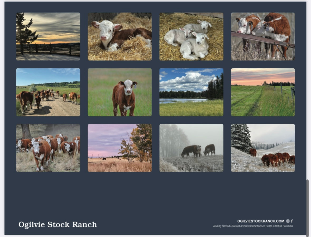 2025 Ranch Wall Calendar