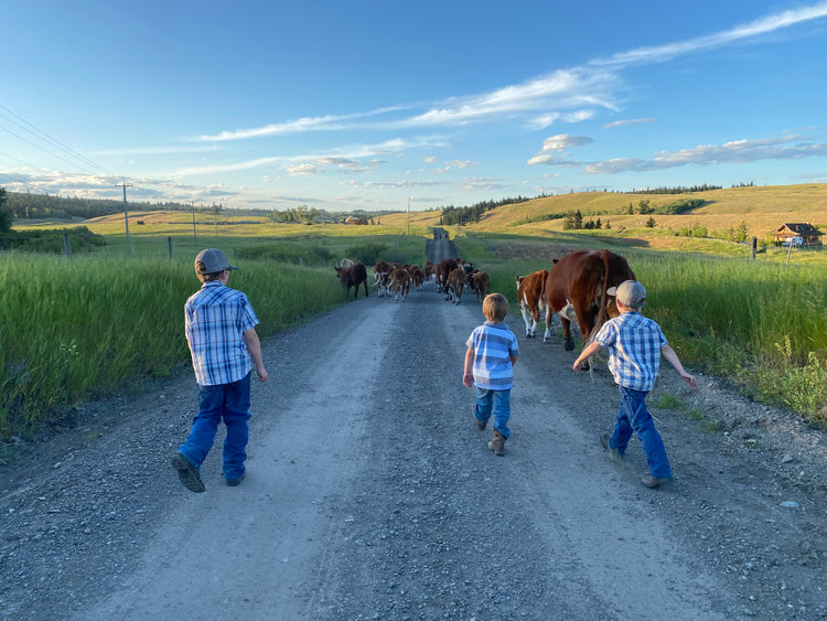 Ranch Learning Hub