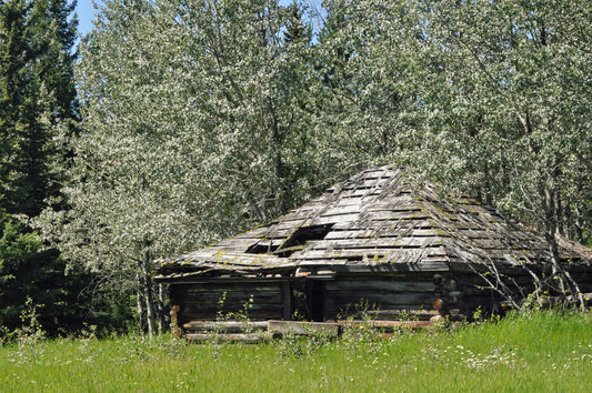 Old Homestead Canvas Print