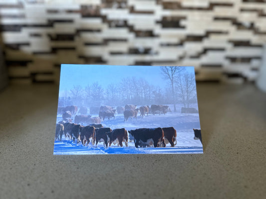 Winter Trail Notecard