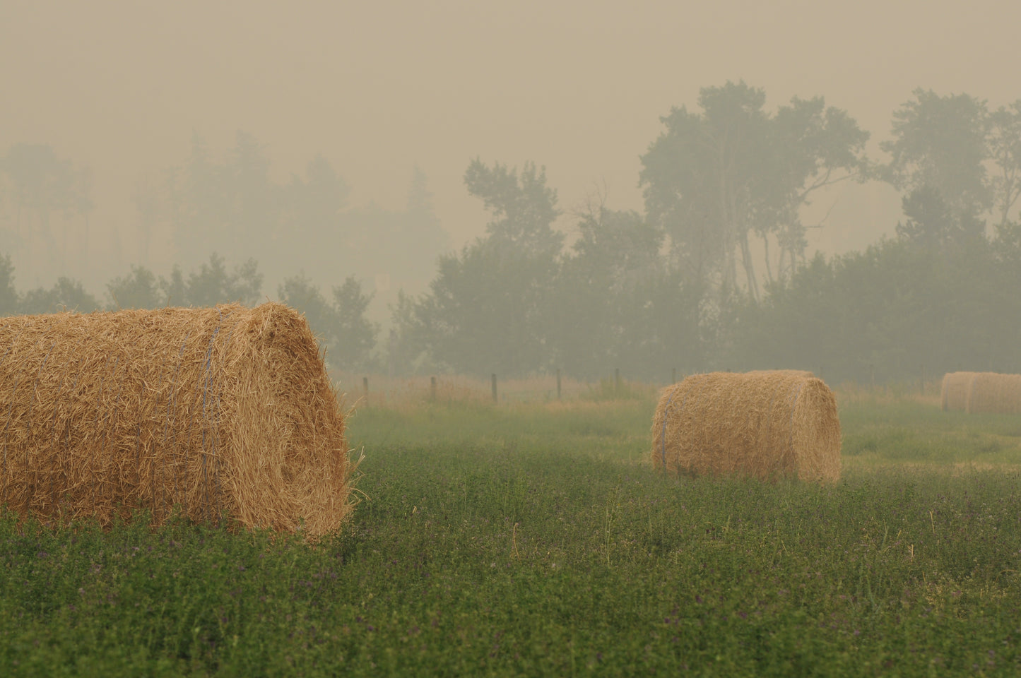 Smokey Skies Canvas Print